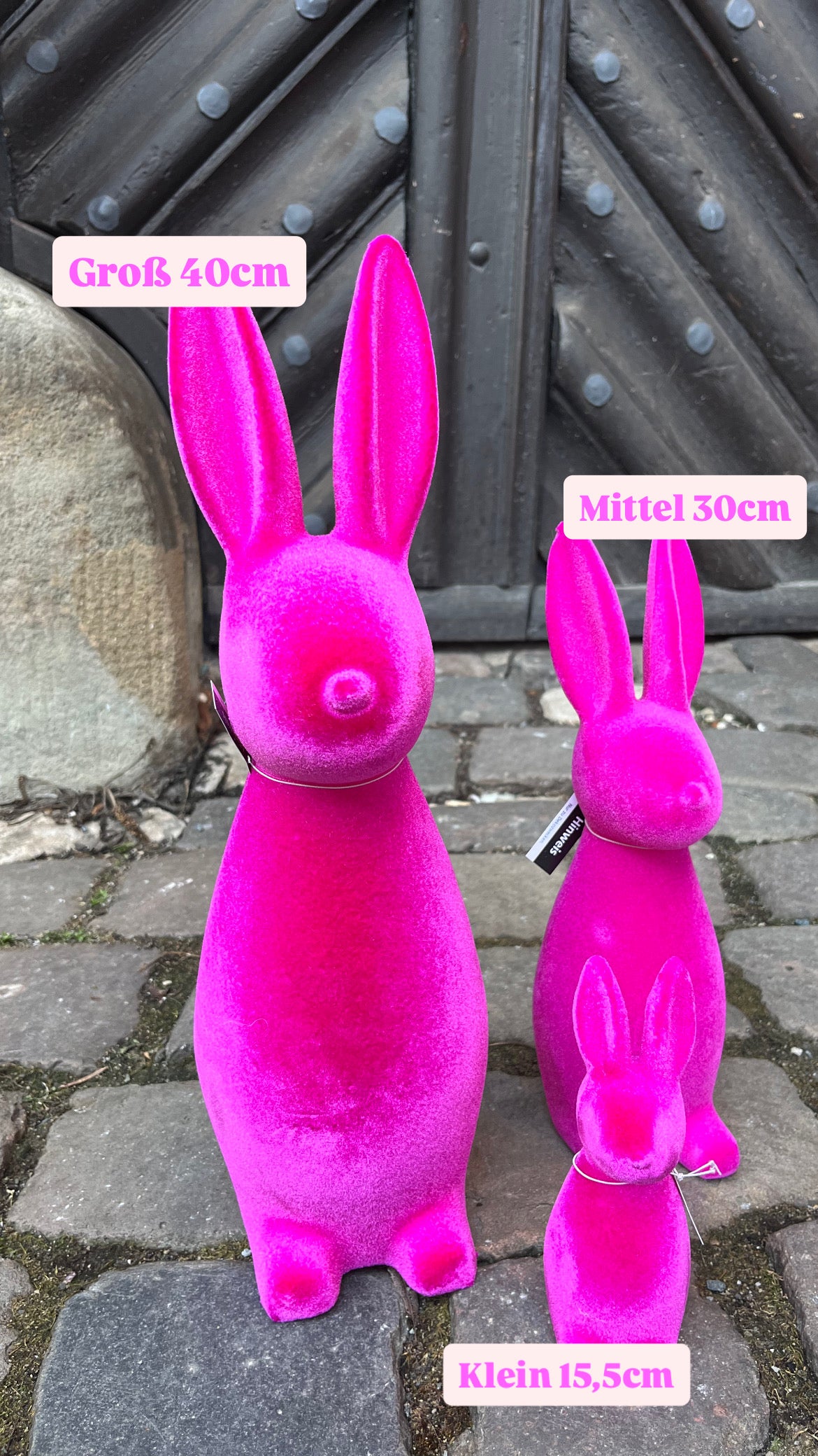 Osterhase Pinky